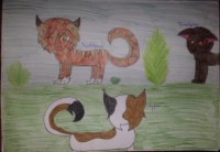 /album/lightningclan-gallery/a11077890-647190715408312-106240537-n-jpg/