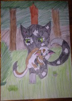 /album/lightningclan-gallery/a11072846-647190752074975-268115101-n-jpg/