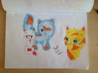 /album/lightningclan-gallery/img-3048-jpg/