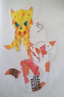 /album/lightningclan-gallery/img-3046-jpg/